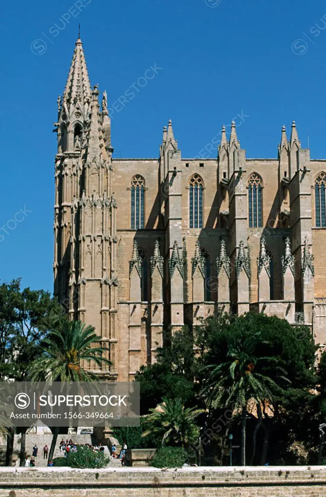 Gothic cathedral, Palma de Mallorca. Majorca, Balearic Islands, Spain