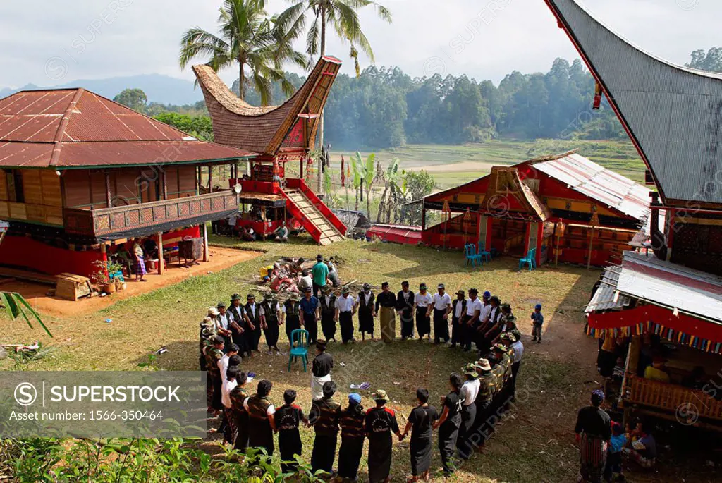 Toraja funeral ceremony. Tana Toraja. Sulawesi (Celebes Island). Indonesia.