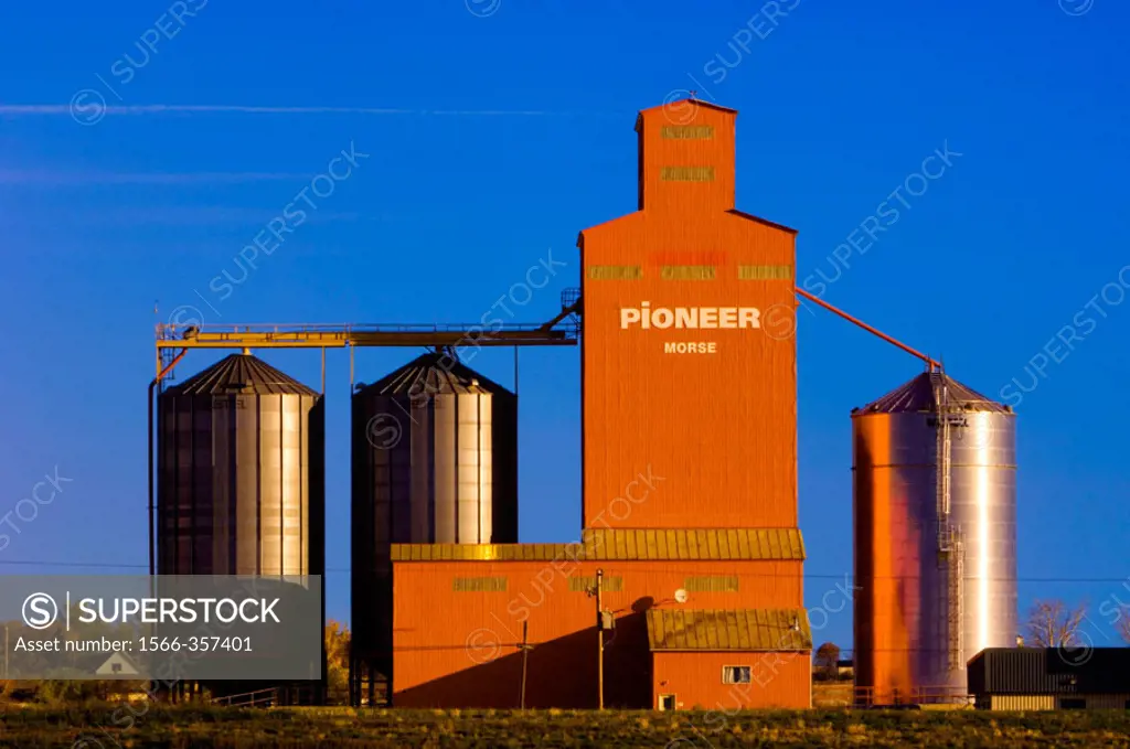 Pioneer Grain elevator. Morse. Saskatchewan