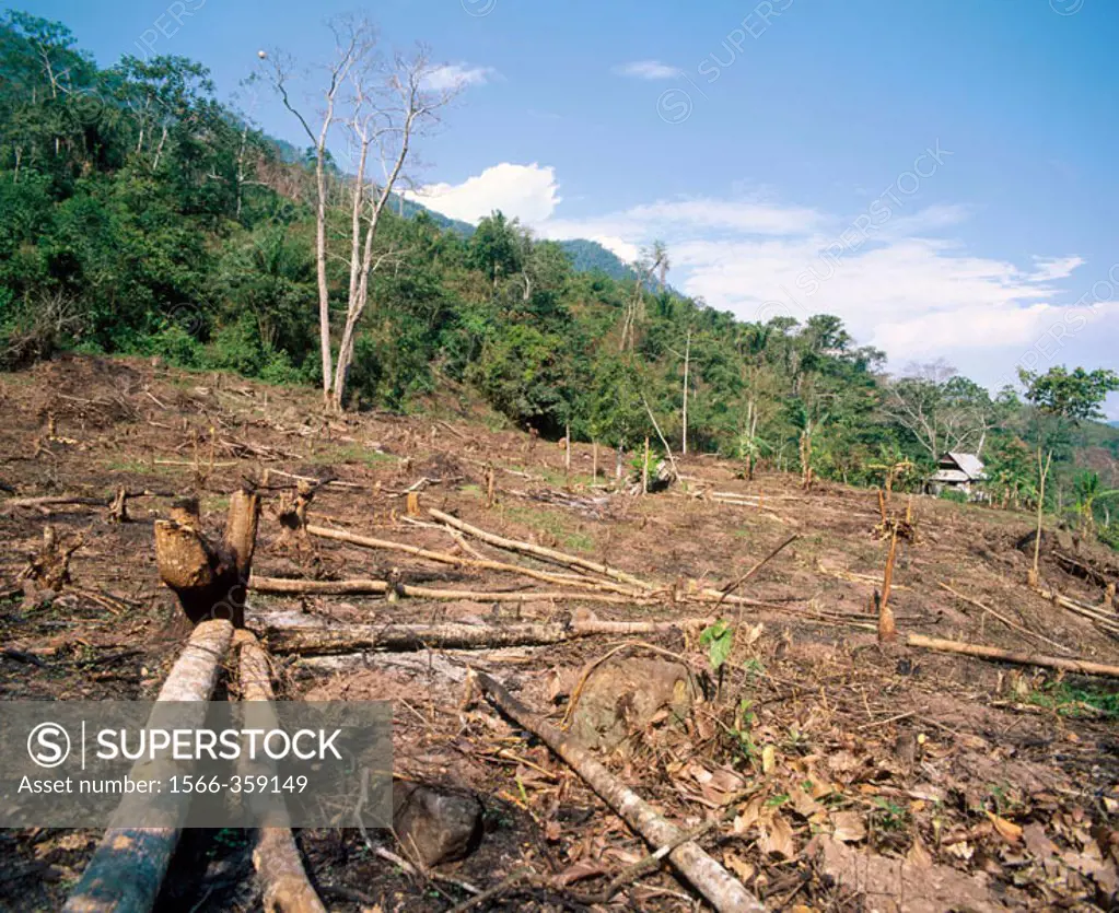 Deforestation in the rain forest. Amazon basin. Deforestation Peru.