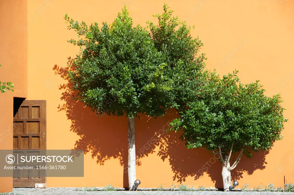 Typical Andalusian courtyard with orange trees. Sevilla, Andalusia, Spain.
