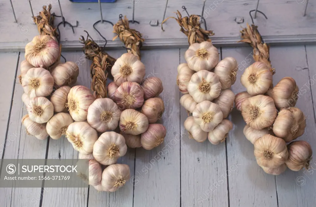 Garlics. Sault, Provence, France