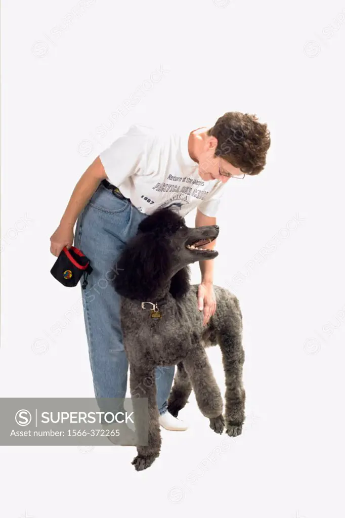 Champion Serakunda´s ´Kings Delight´ AKA ´Albert´ AKA ´Bert´, a Standard Poodle, and his mistress