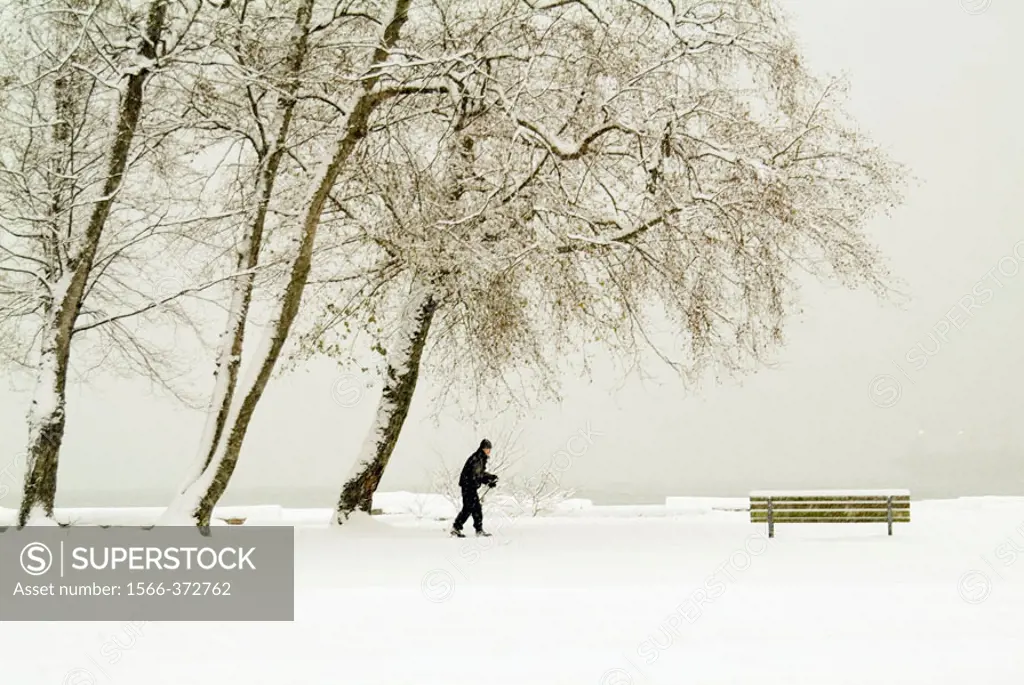 Skier at Jericho Park, Vancouver, BC, Canada
