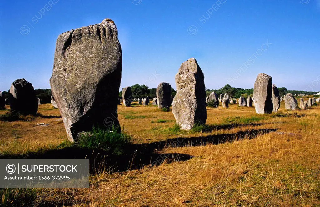 Megalithic stones in Le Menec. Carnac. Morbihan. Brittany. France.