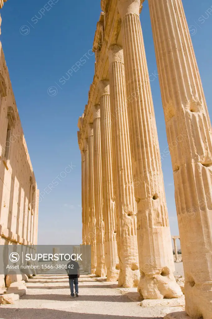 Ancient city of Palmyra. Syria