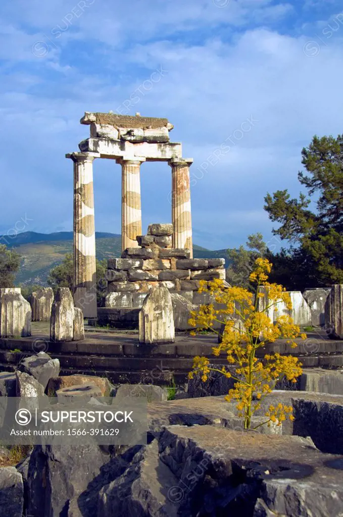 The Tholos Temple, Sanctuary of Athena ruins in Delphi, Greece.