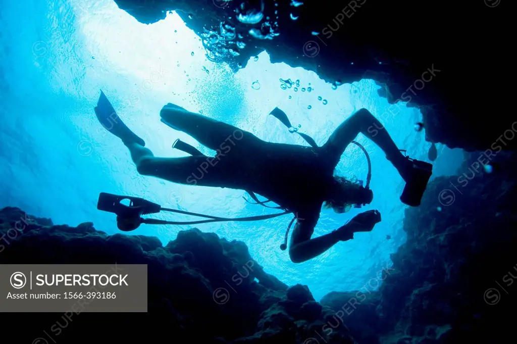 Scuba diver diving on reef