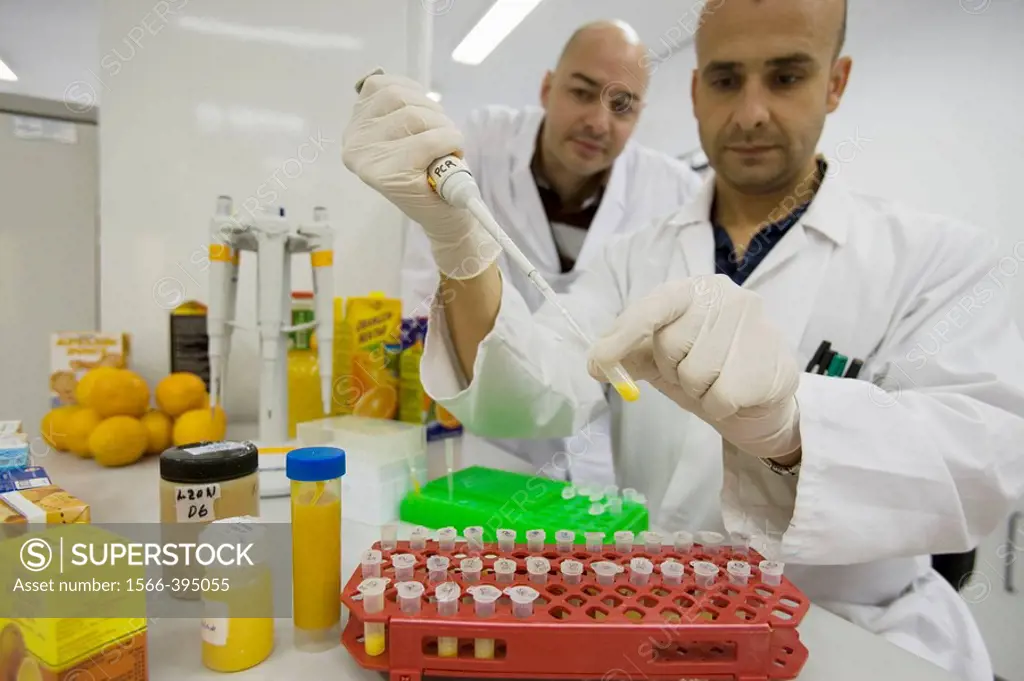 Molecular Biology Laboratory. Preparing samples to detect the addition of tangerine to orange juice with DNA techniques. AZTI-Tecnalia. Technological ...