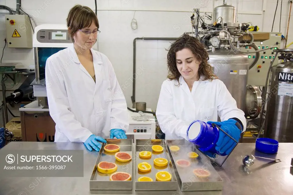 Pilot plant. Experimenting with liquid nitrogen in food. Oranges. Laboratories. AZTI-Tecnalia. Technological Centre specialised in Marine and Food Res...