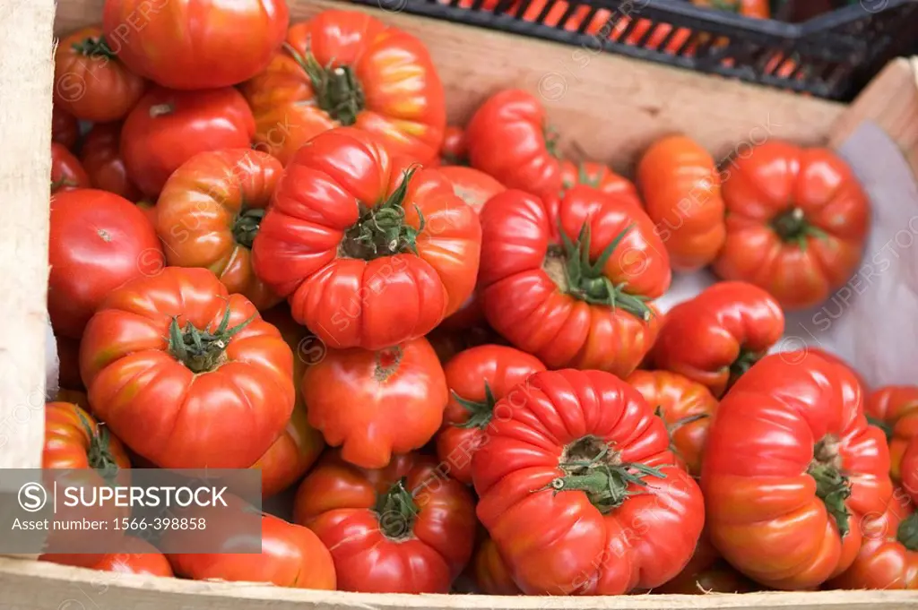 Organic, heirloom tomatoes grown in small quantities on a small-to-medium family farm, for sale at weekly market in French village in southern France.