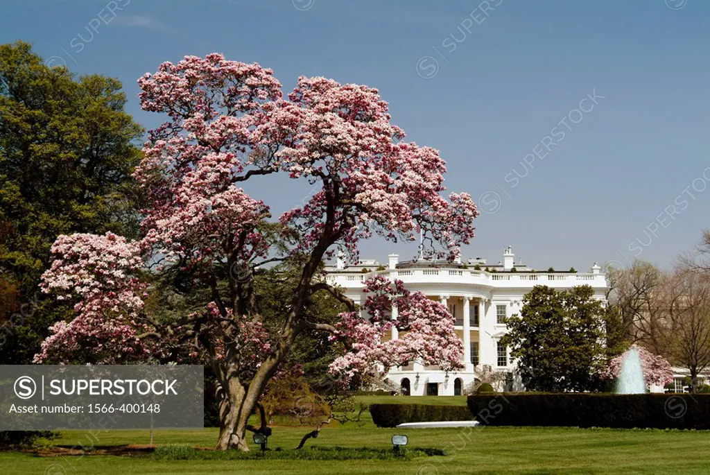 United States, Washington, District of Columbia, White House.