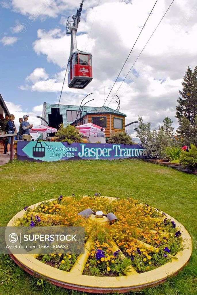 Jasper Tramway Concession Excursion Jasper National Park Alberta Canada Canadian Rockies Canadian Rocky Mountains