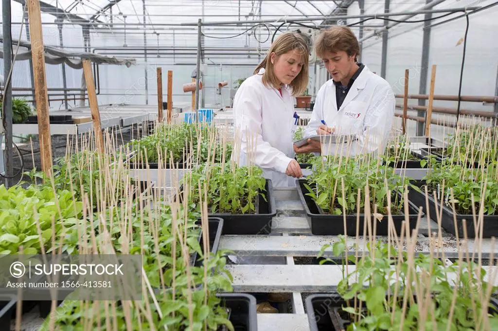 Control of Gernika pepper seedbeds in greenhouse, Departamento de Producción y Protección Vegetal, Neiker Tecnalia, Instituto de Investigación y Desar...