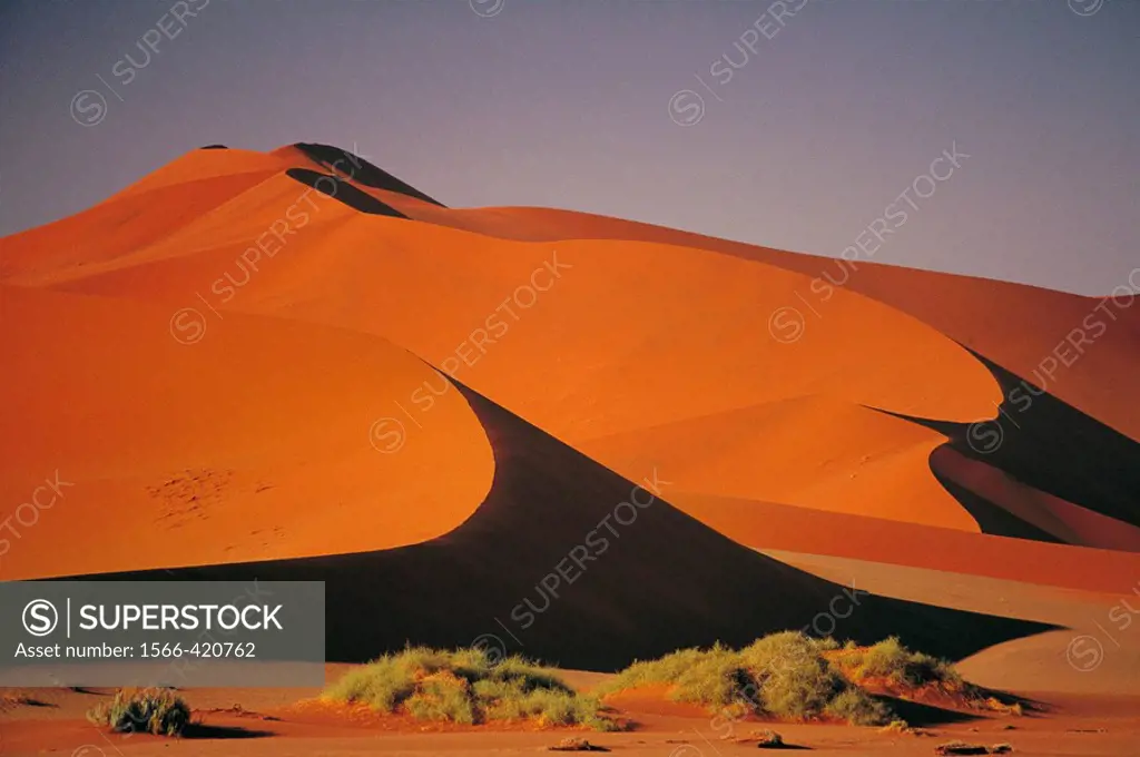 Sossusvlei, Namib-Naukluft National Park. Namib desert, Namibia