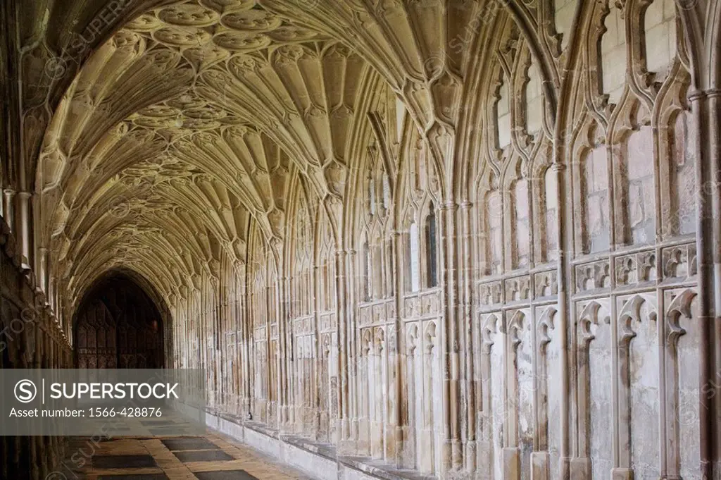Gloucester cathedral, Gloucestershire, the Cotswolds, England.