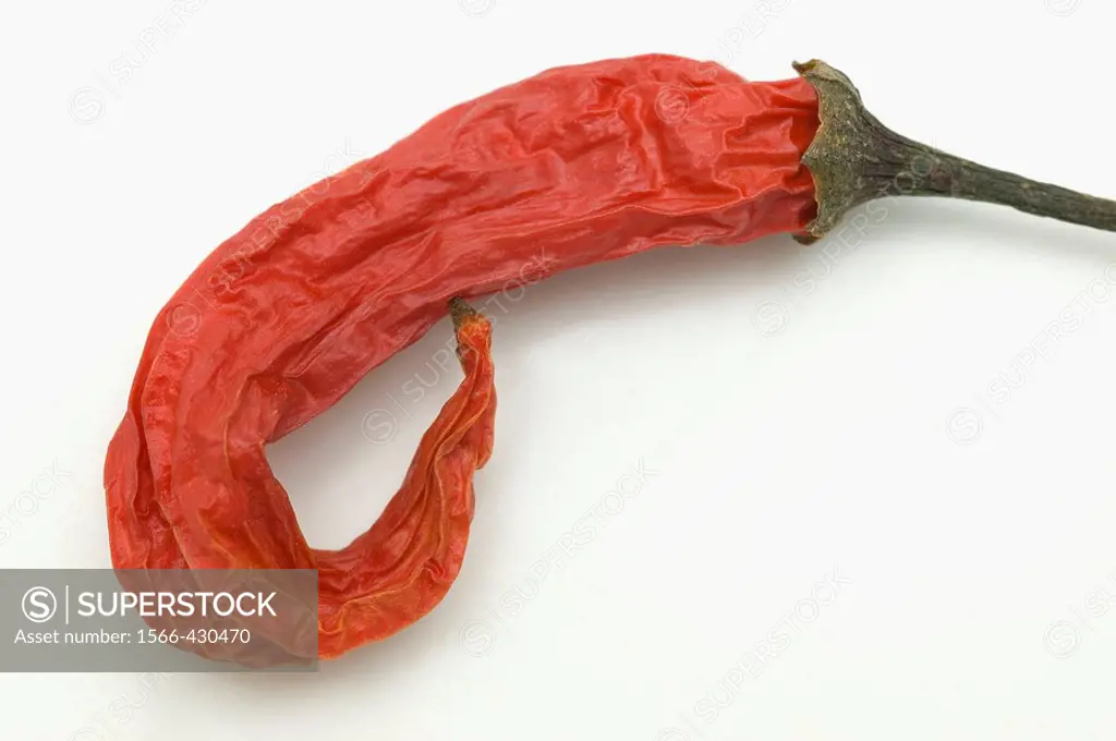 Close-up of red dried chilli pepper