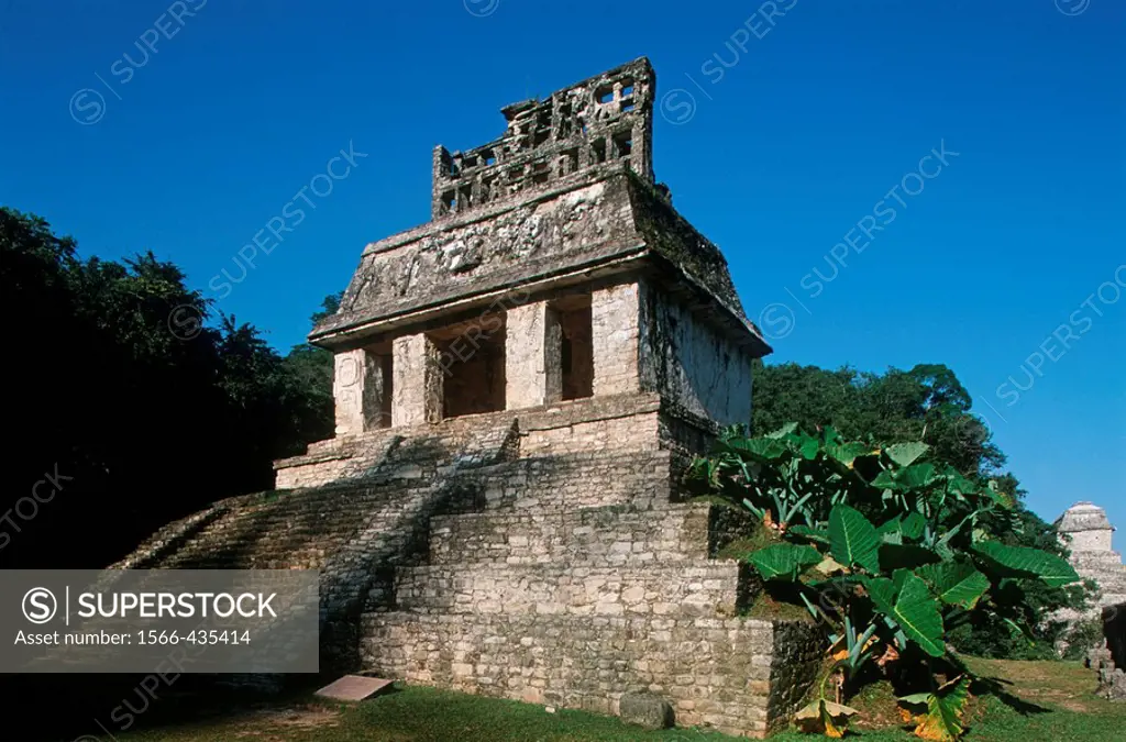 Temple of the Sun. Palenque. Mexico