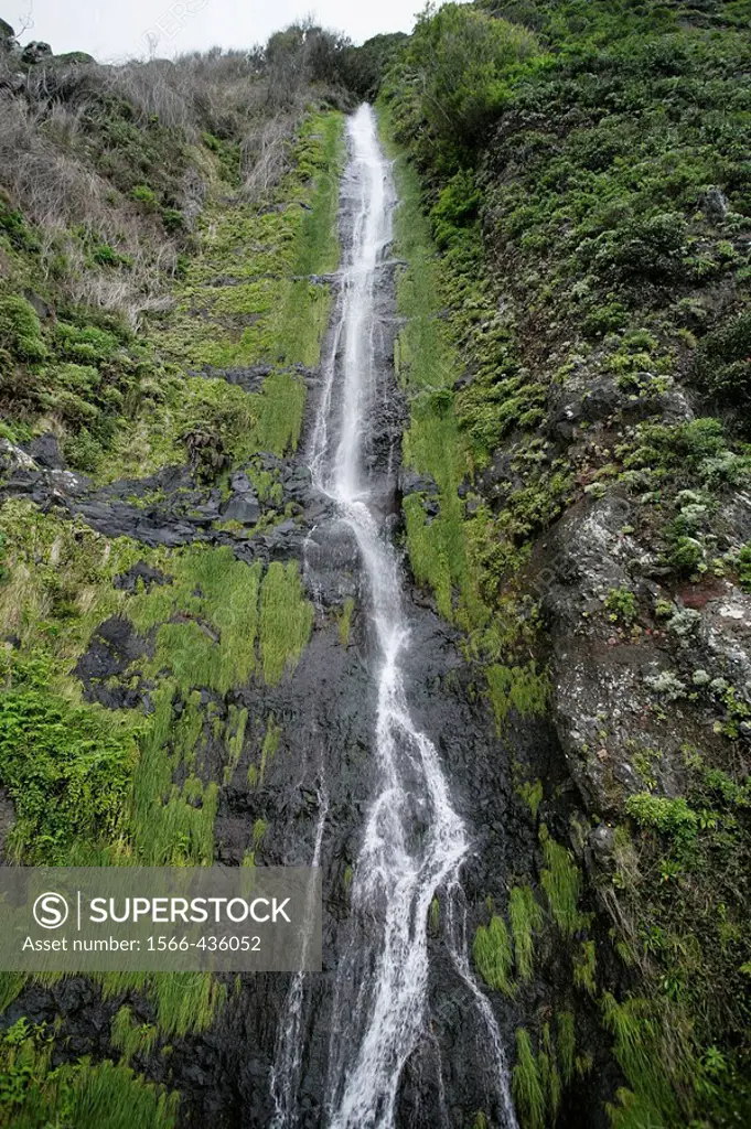 ´Levada´ walk. Laurisilva subtropical rain forest. Madeira National Park. Madeira. Portugal
