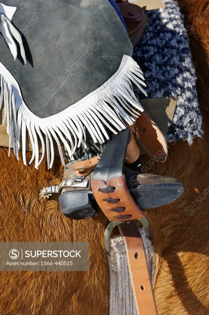 Close-up of a young cowboy´s boot in a stirrup, Shell, Wyoming. Usa