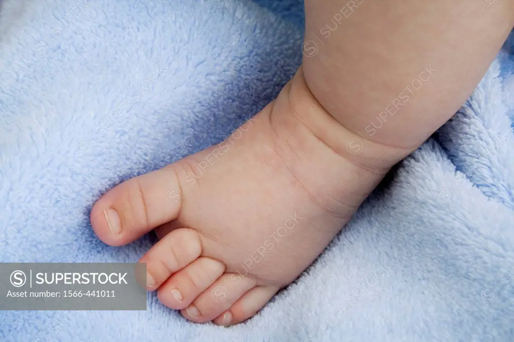 A Caucasian baby´s foot, 0-6 months