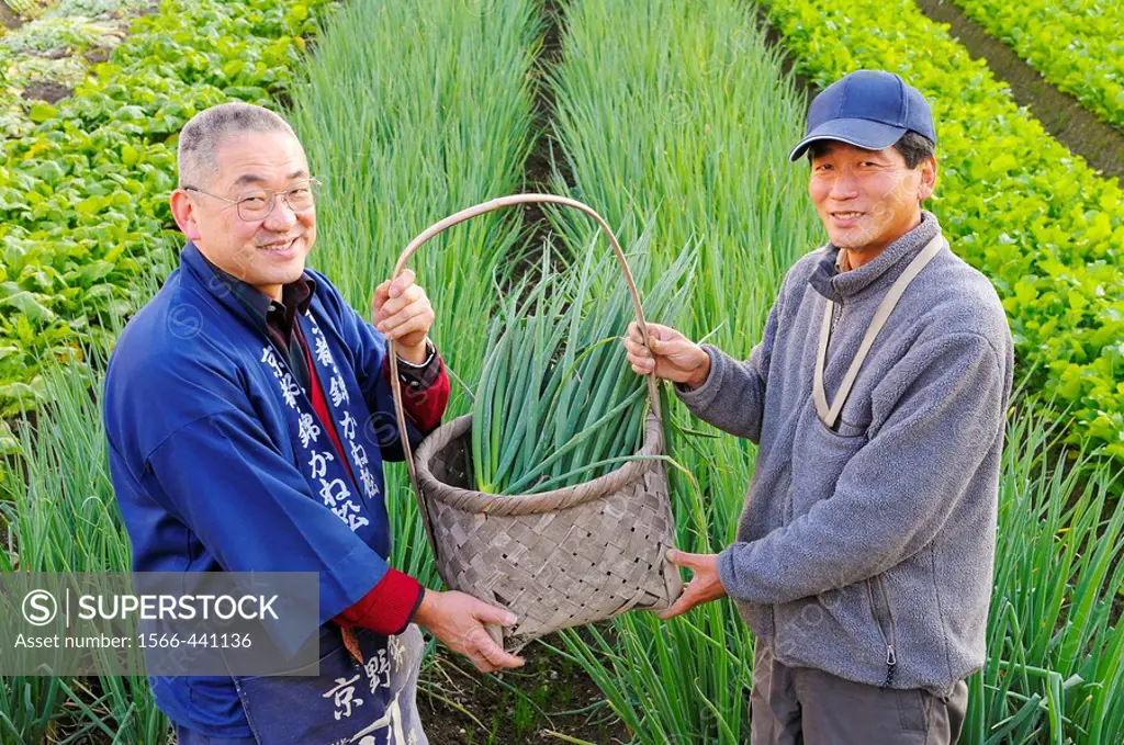 Farmers showing a basket with onionplant, smiling, portrait, Japan