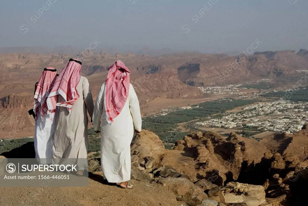 Saudi Arabia, Al Ula, the oasis from the top of the cliff