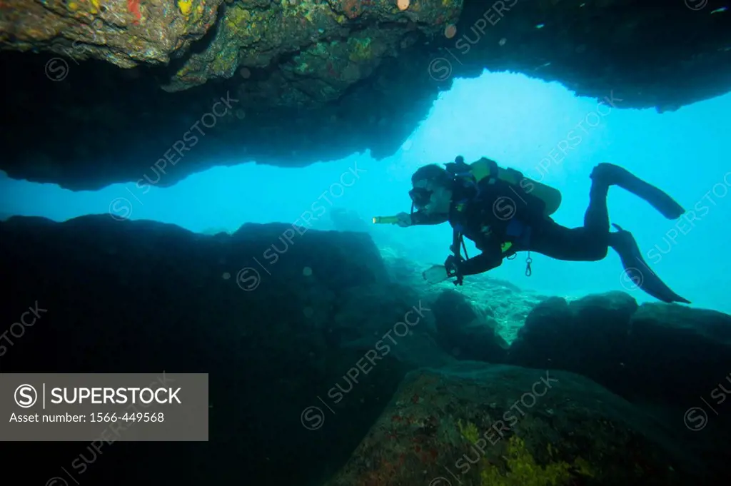 Man diving, Oahu, Hawaii, USA