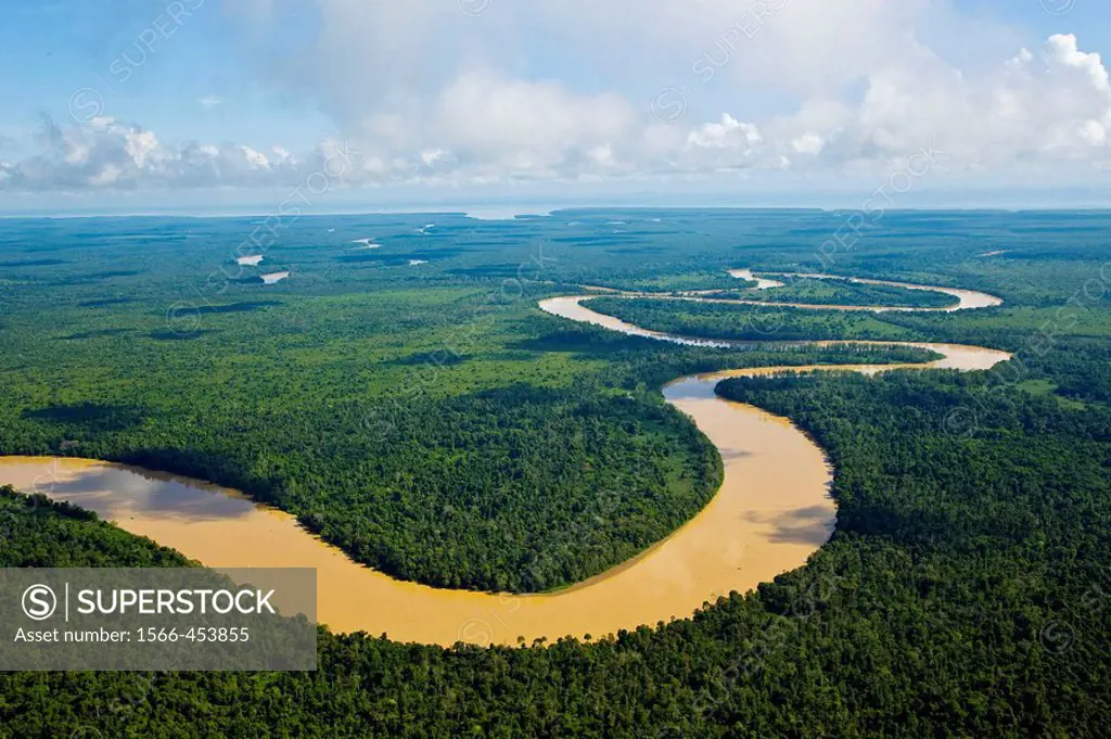 Rainforest and Kinabatangan River, Sabah, Borneo island, Malaysia