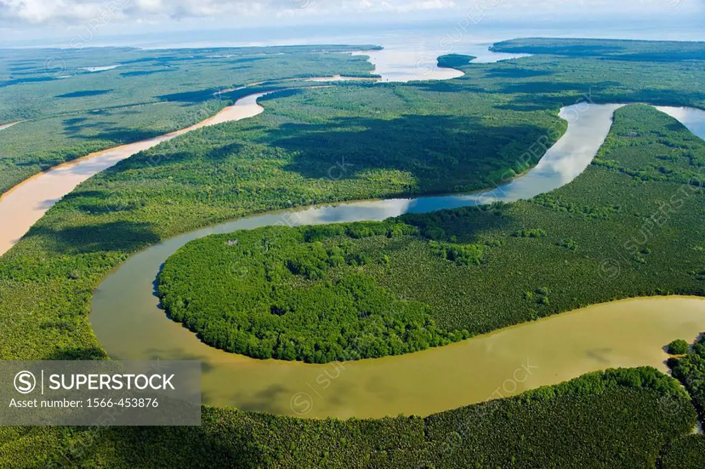 Rainforest and Kinabatangan River, Sabah, Borneo island, Malaysia