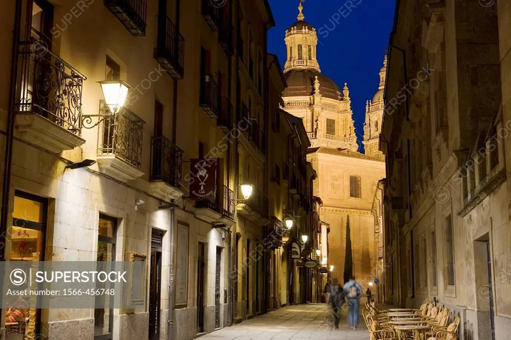 Salamanca. Castile-Leon. Spain