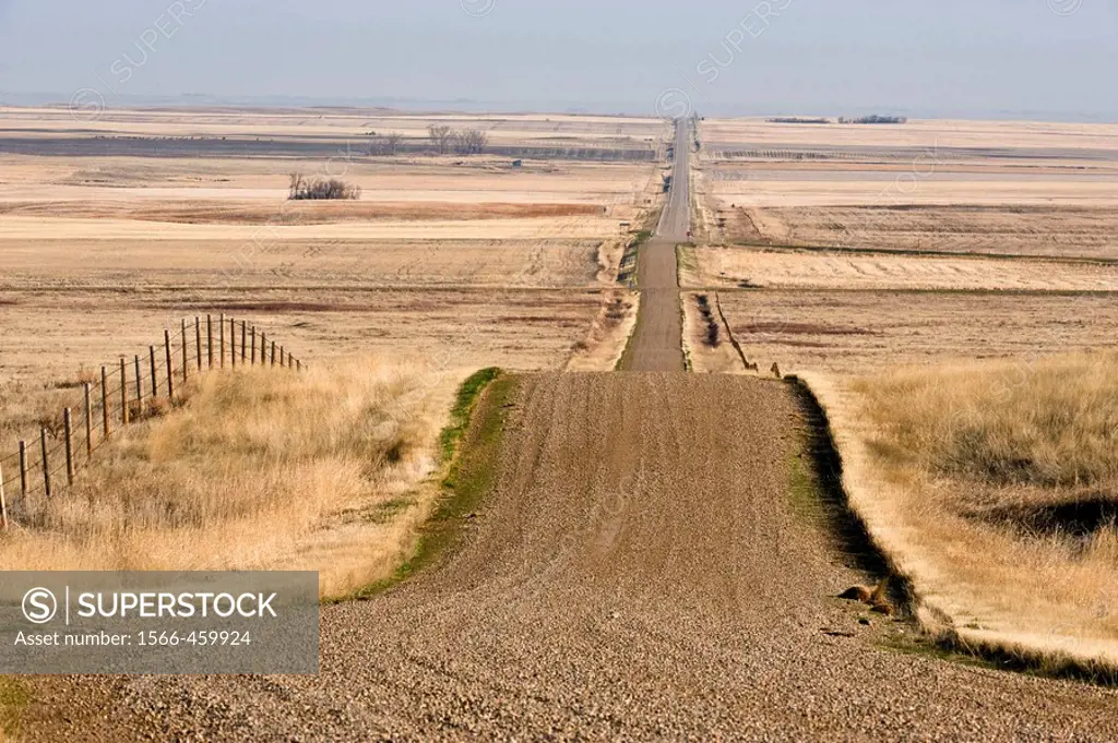 Country Road in Canadian prairie in early spring, near Seven Persons, Alberta