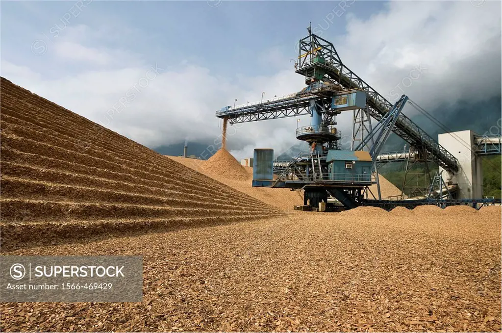 Canada, BC, Port Mellon.  Wood chip pile and conveyor at pulp and paper mill.