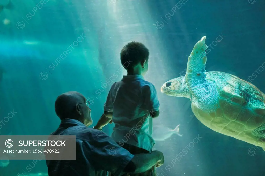 Grandfather and 3 years old grandson visiting the aquarium