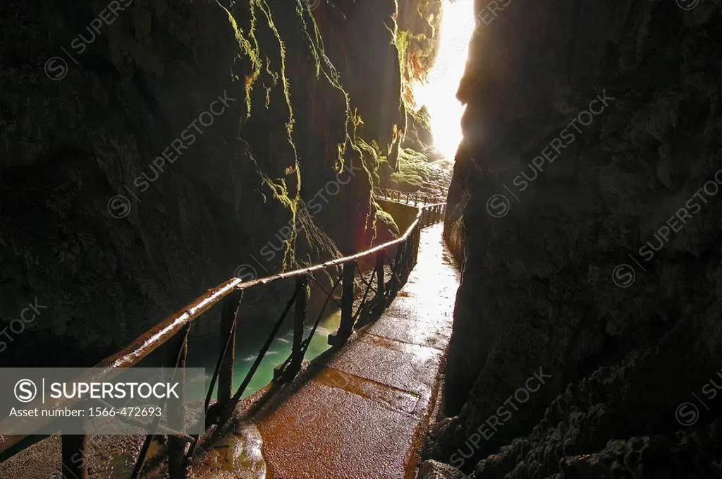 Piedra River  Cave Iris inside the ´Cola de Caballo Waterfall´ at Monasterio de Piedra  Nuevalos  Zaragoza province  Aragon  Spain