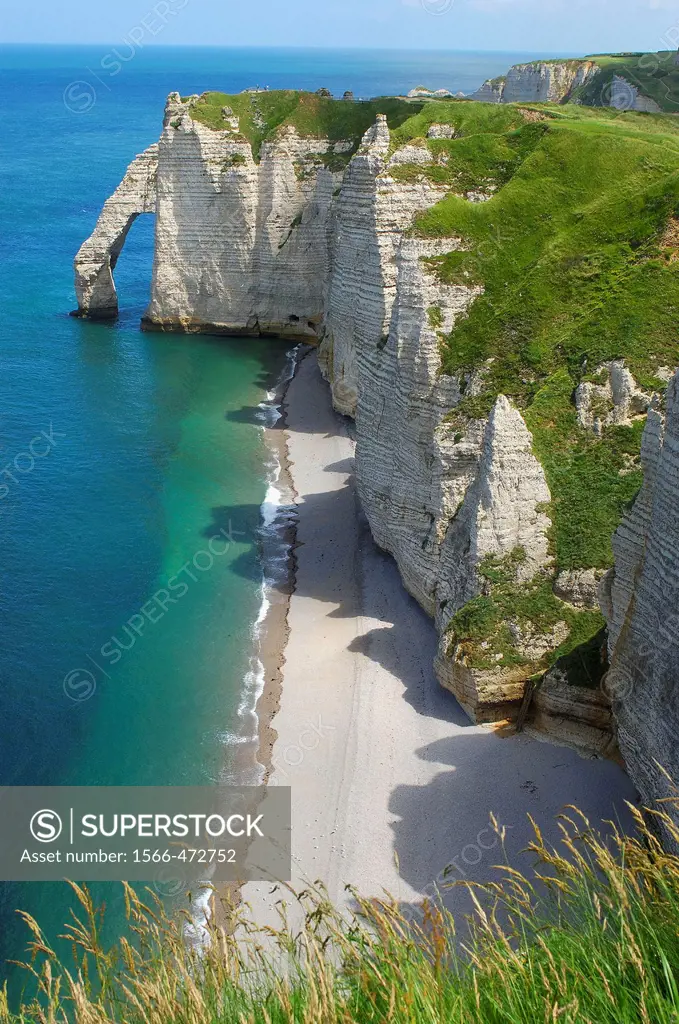 Falaise d´aval  Sea Cliff  Étretat  Côte d´Albatre  Haute-Normandie  Normandy  France