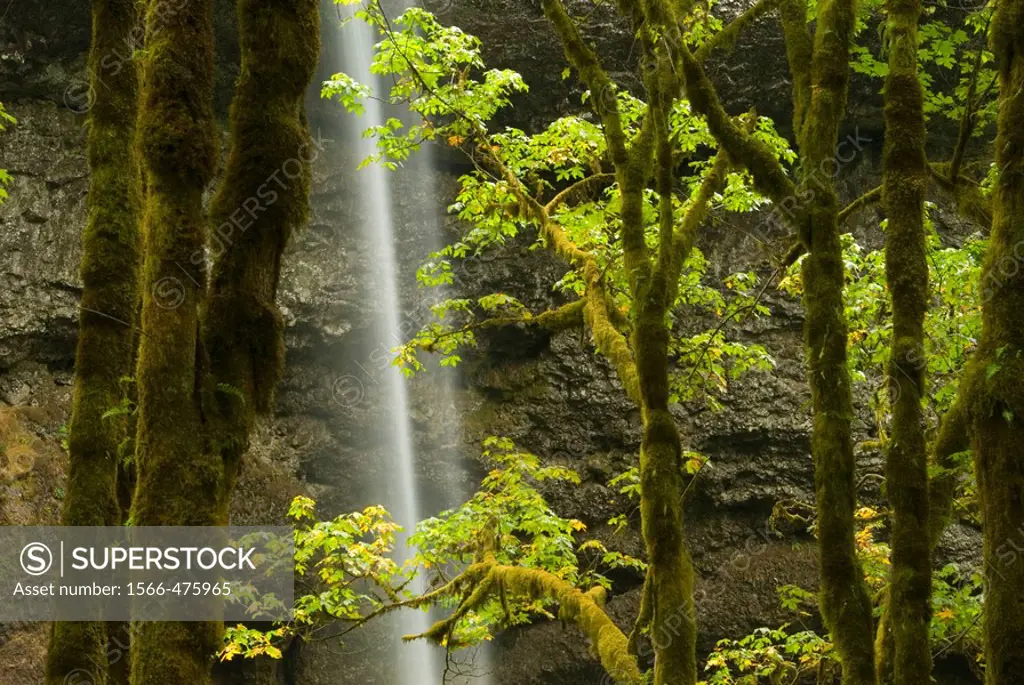 South Falls, Silver Falls State Park, OR