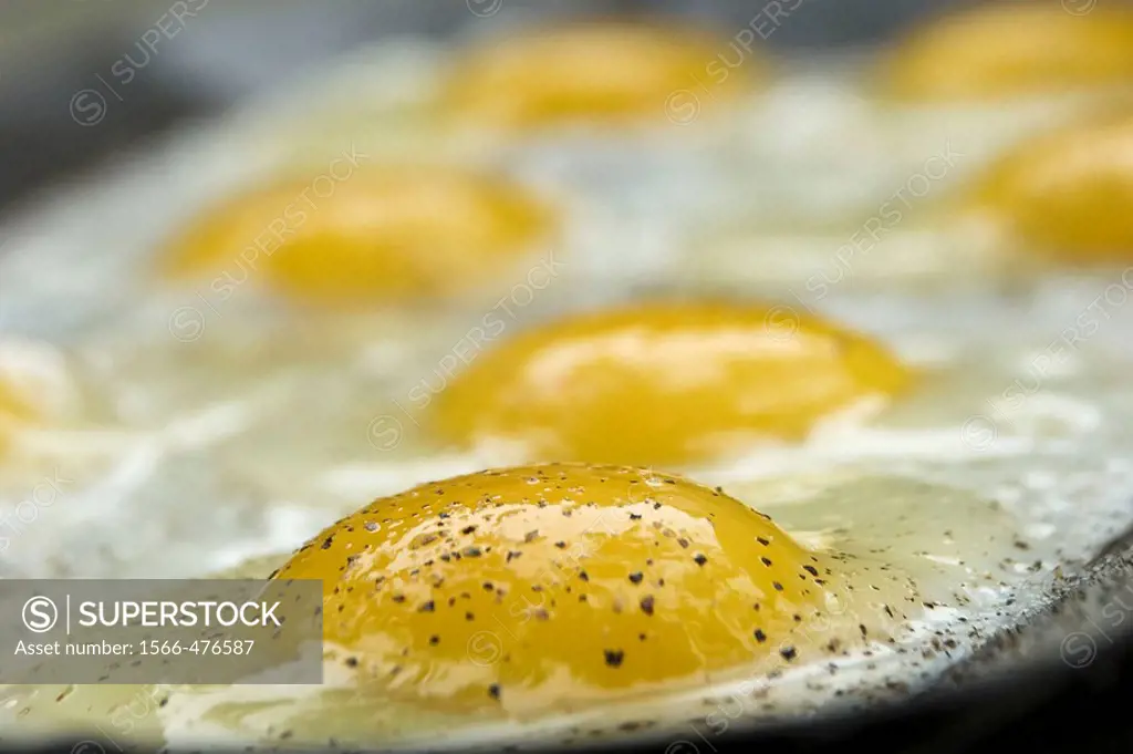 fried eggs sprinkled with pepper