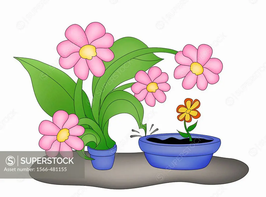 Largeflowerst in tiny pot confronting tiny flower in large pot