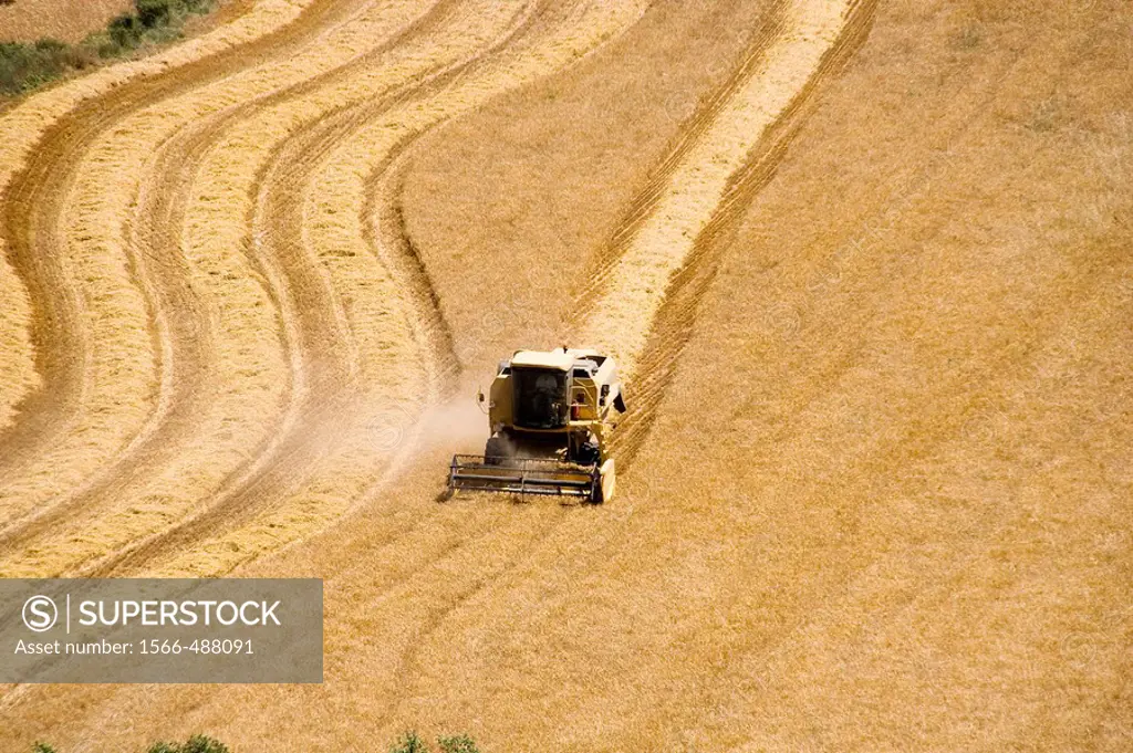 Harvesting cereals with reaper doing curves and lines Solsonès, Lleida, Catalonia, Spain, Europe