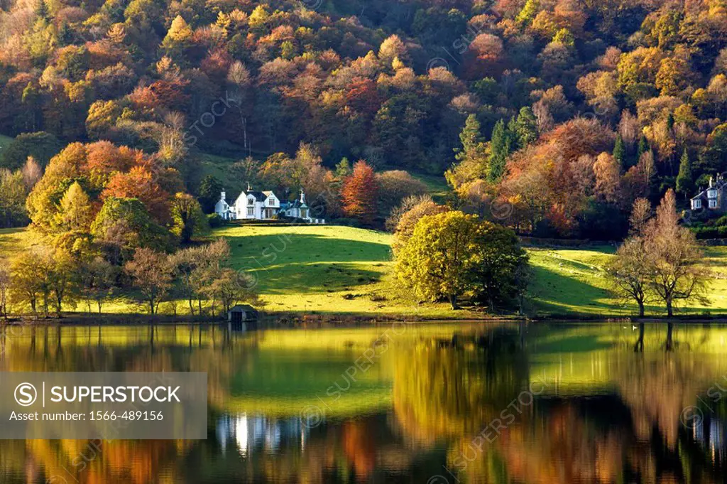 Grasmere lake with autumn colours and reflections, Lake District, Cumbria, England