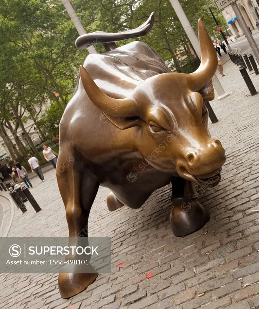 Charging Bull bronze sculpture near Wall Street, New York City, USA