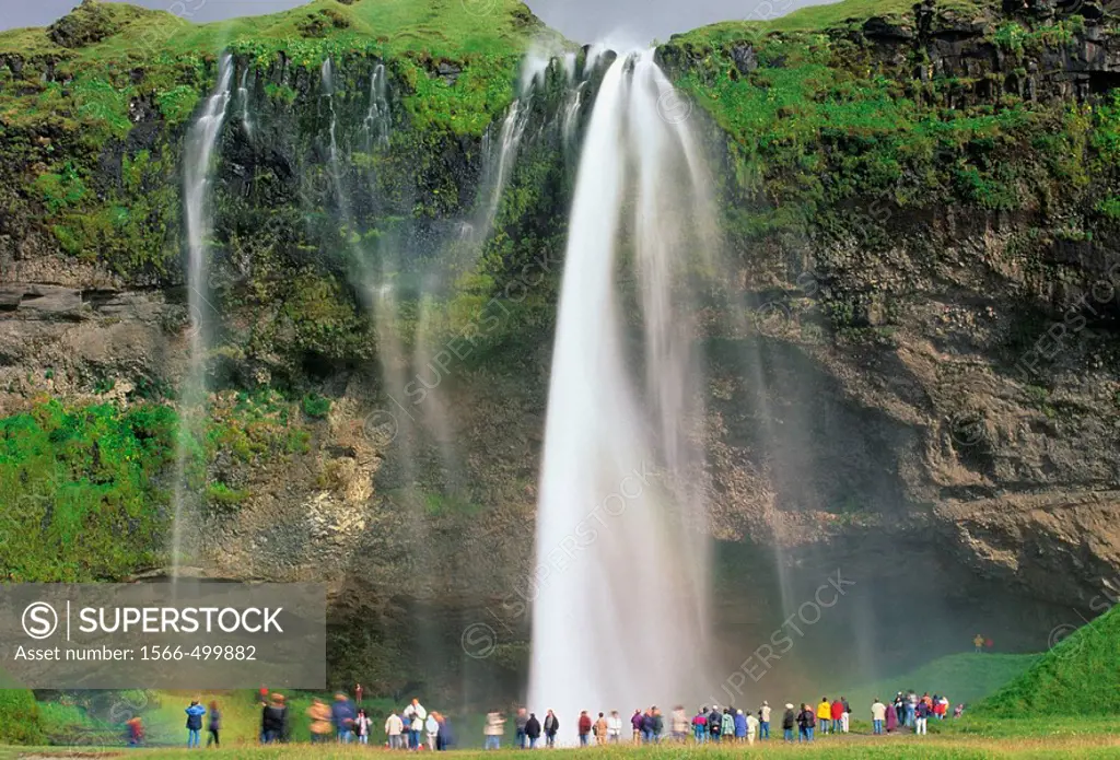 Seljalandsfoss Falls in Eyjafjoll Cliffs One of the Highest Falls in Iceland