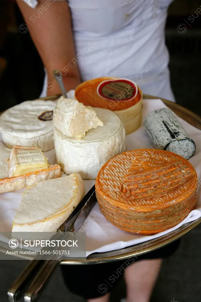Cheese plate with traditional cheese from Normandy and Brittany, France