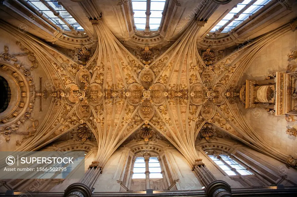 Star-shaped vault in the church vestry of the old monastery and hospital of San Marcos, Leon. Castilla-Leon, Spain