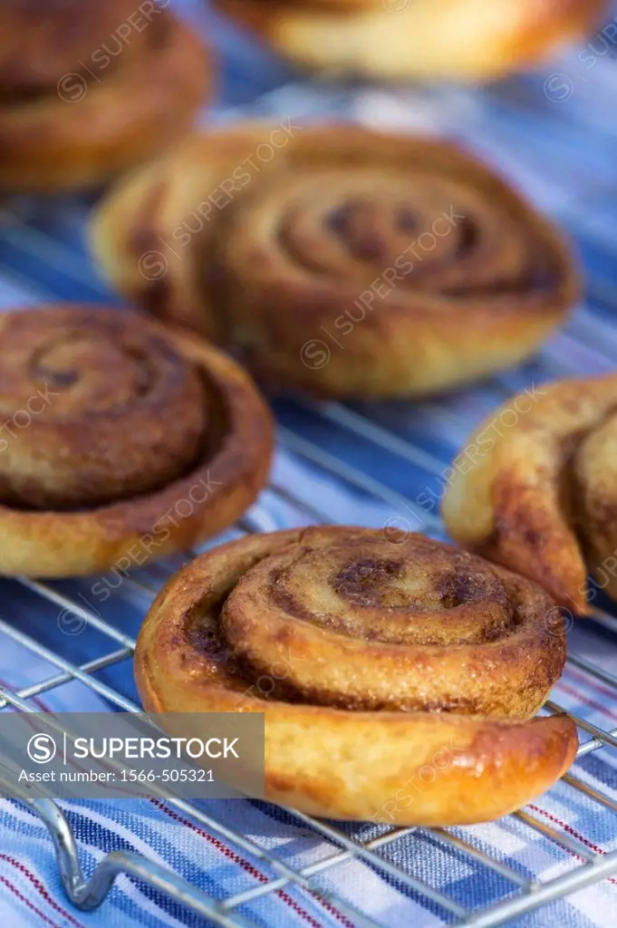 Fresly baked Cinnamon Snails