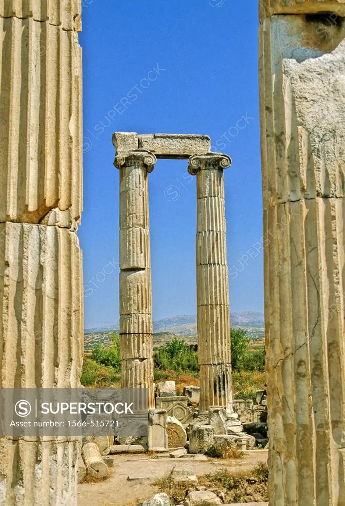 Turkey, the ruins of Aphrodisias, columns with ionic capitals
