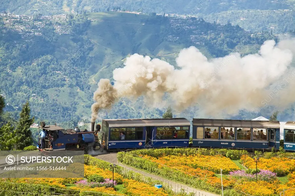 Steam train known as the ´Toy Train´ of the Darjeeling Himalayan Railway listed as a World Heritage Site, Batasia Loop, Darjeeling, West Bengal, India