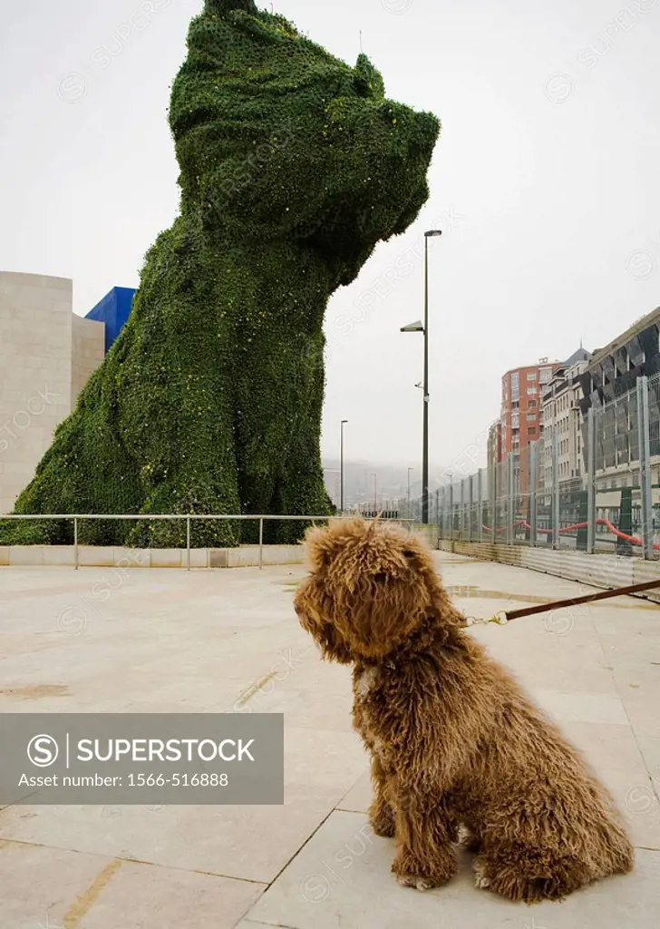 On background´Puppy´, sculpture by Jeff Koons, in front of Guggenheim Museum by Frank O. Gehry. Bilbao. Biscay, Spain