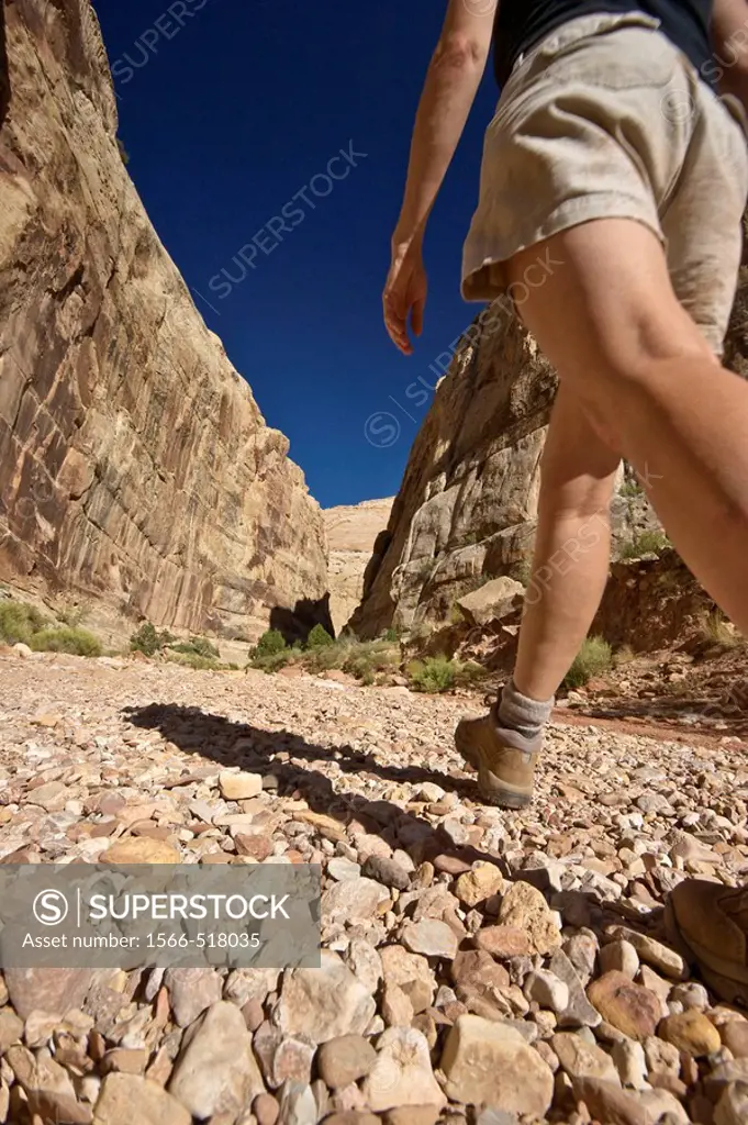 Woman hiking into the Grand Wash slot canyon in Capital Reef National Park, Utah